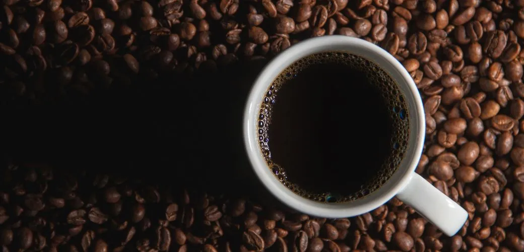 Hoe zet je nu eigenlijk best onze lekkere Beyond Focus blend?